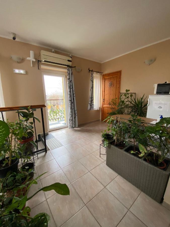 Verona Panzio Dobrokoz ภายนอก รูปภาพ